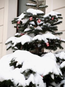 Verschneite Winterimpression unseres geschmückten Weihnachtsbaumes.